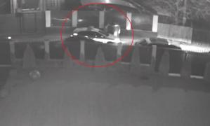 Bărbat lovit de polițiști, pe o stradă din Bacău (Video)