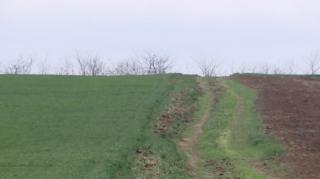 Agricultura, amenințată de secetă
