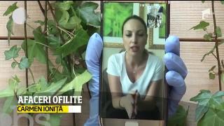 Observator de weekend