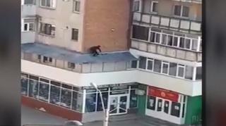 Dragostea secretă i-a adus o amendă usturătoare unui tânăr din Vaslui