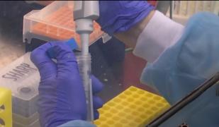 Aproape 15.000 de americani au murit până acum din cauza coronavirusului