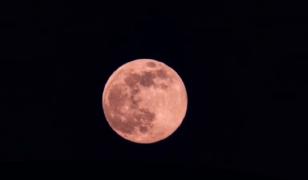 Superluna Roz a fost vizibilă şi în România