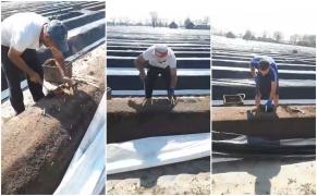 Video cu românii plecați la cules de sparanghel: "Hai, cumnată-mea, arată-ți talentul!"