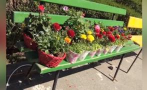 Un tânăr le-a dus flori medicilor şi asistentelor de la spitalul din Târgu Jiu