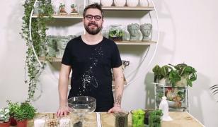 Terariile, minigrădina din propria casă. Iată cum putem face unul