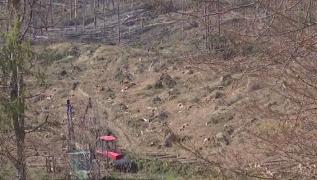 Pădurea doborâtă de vânt ]n localitatea Cheia, valorificată