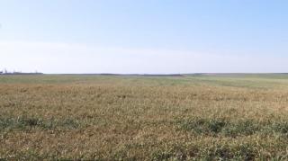 Seceta lasă fermierii în sapă de lemn. Recoltele vor avea de suferit