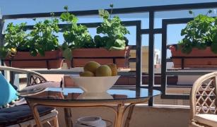 Mica grădină din balcon. Cum îngrijim corect mușcatele