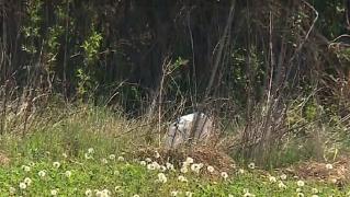 În Maramureș, localnicii primesc bani dacă îi pârăsc pe cei care aruncă gunoi pe jos