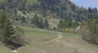 Ministrul Mediului vrea lege împotriva defrișărilor ilegale