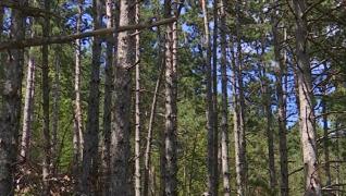 Muntele se pregăteşte pentru primul val de turişti. Trasee noi pentru amatorii de senzații tari