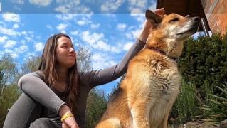 Câinii, cei mai buni prieteni în perioada de izolare