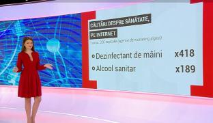 Topul căutărilor pe internet, în timpul pandemiei