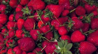 Marfă de import, vândută sub etichetă românească la Constanța