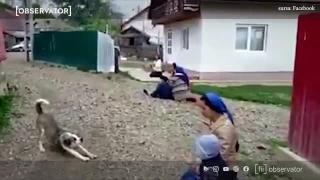 Rugăciune în grup la Chilișeni, în Suceava. Tot satul se roagă pe străzi, în genunchi (Video)