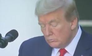 Un al doilea angajat de la Casa Albă, diagnosticat cu noul coronavirus