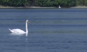 Spectacol al naturii, în apropiere de Slatina