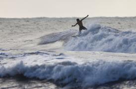 Un surfer a scăpat de atacul unui rechin, după ce l-a lovit cu pumnul