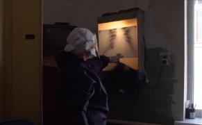 O regiune de la granița Ucrainei cu România este focar de coronavirus cu mii de infectări