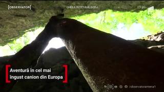 Observator de weekend