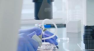 Cercetători români, în lupta cu noul coronavirus