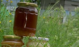 Mierea de salcâm va fi mai puţină şi mai scumpă în acest an