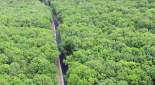 Drumul din inima pădurii ce unește două comunităţi din judeţul Alba