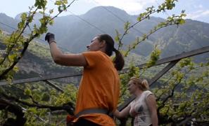 Opt românce, transportate la lucru cu un avion privat plătit de angajatorul italian