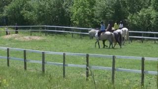 O plimbare relaxantă cu caii de la centrul de echitație din Bobicești