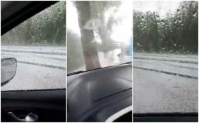 Vijelie puternică în Dolj, grindina a făcut prăpăd: "Totul e alb, tu vezi?" (Video)