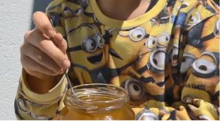 Condițiile meteo nefavorabile pun în pericol producția de miere