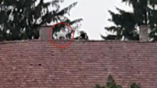 Un ied cocoțat pe acoperișul castelului Korniș din Cluj, salvat de pompieri în uralele localnicilor (Video)