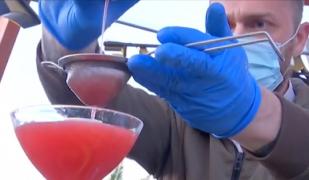 Litoralul freamătă după relaxarea restricțiilor