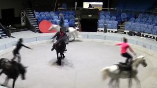 Repetiţii intense la Circul Metropolitan din Bucureşti. Spectacolele s-ar putea relua după 15 iunie