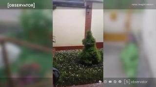 Grindina a lovit puternic la Tășnad, în Satu Mare. Bucăţile mari de gheaţă au făcut prăpăd (Video)