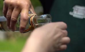 Vacanță de basm în Maramureș: mâncare tradițională, drumeții în natură și petreceri la ceas de seară