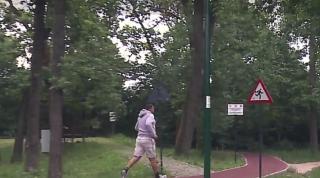 Parcurile și pădurile au înlocuit sălile de fitness