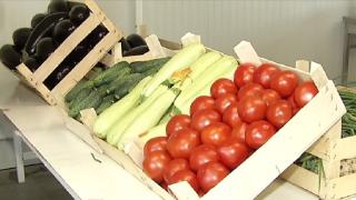 Ce recomandă chef Scărlătescu pentru o salată delicioasă făcută acasă cu legume româneşti