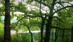 Calitatea aerului din Sovata, mai curat ca în Alpi