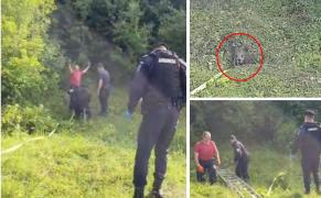 Ursuleț salvat de jandarmii brașoveni după ce a căzut într-o fântână. „Bravo! Misiune încheiată!” (Video)