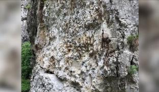 Transportatorii de lemne au spart stâncile din Cheile Sohodolului să facă loc camioanelor încărcate cu busteni