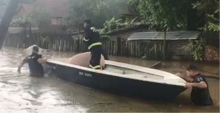 Patru judeţe din vestul României au fost sub cod roşu de ploi, inundaţiile înghiţind localităţi întregi (Video)