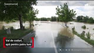 Observator de weekend