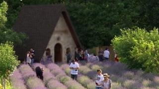 Sezonul pozelor în lavandă într-un decor rupt dintr-un basm, în Târgu Jiu