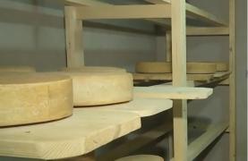 Doi angajați ai unor bănci din București s-au apucat de produs brânză în apropiere de Sighișoara (Video)