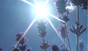 Canicula ia locul ploilor torențiale, în următoarele zile, conform specialiștilor meteo