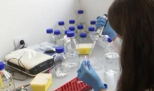 La Timişoara, cercetătorii se pregătesc să testeze vaccinul românesc împotriva noului coronavirus