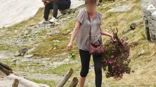 Şeful Salvamont Arges, despre turista care a dezrădăcinat o tufă de bujor de munte: "E o problemă adâncă de educaţie" (Video)