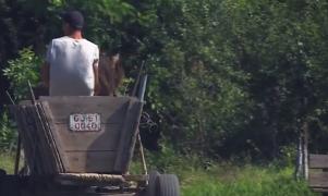 În comuna gorjeană Turburea nici primarul nu a luat Bacalaureatul