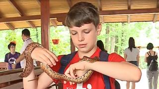 Activităţi interactive pentru copii la Grădina Zoologică din Târgu Mureș